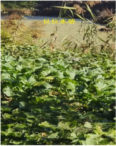 003.png