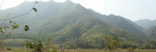 6、猛虎下山^.png