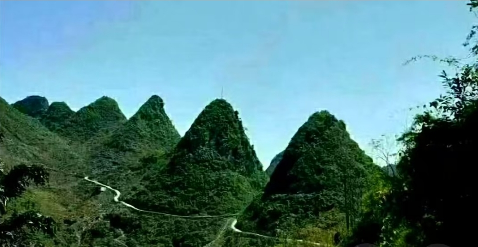 (1)贪狼木:.png (1)贪狼木:.png