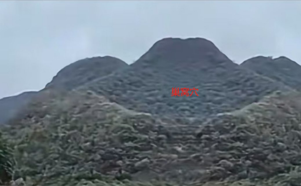 螺蛳扦肉5.png