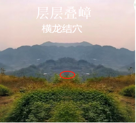 螺蛳扦肉8.png